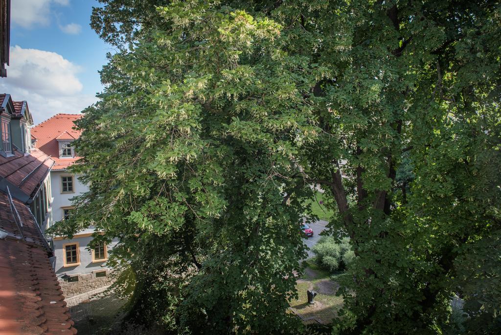 "Goethezimmer" Ferienwohnung Und Zimmer Am Burgplatz Weimar  Extérieur photo